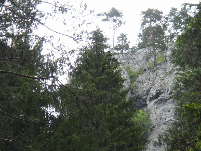 DSC03017.JPG