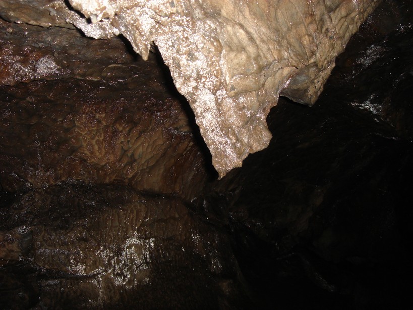 DSC03074.JPG