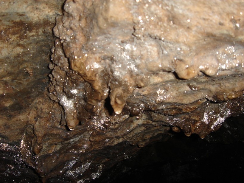 DSC03091.JPG