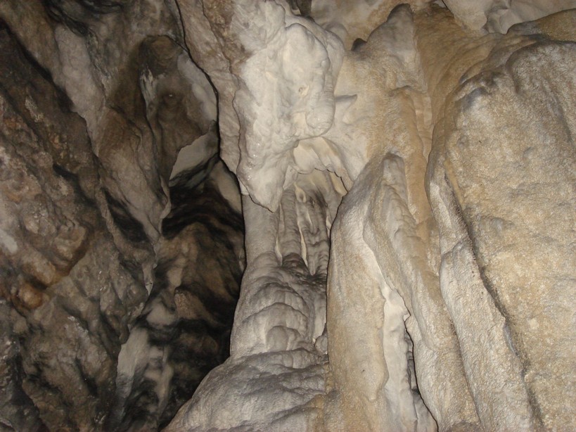 DSC03244.JPG