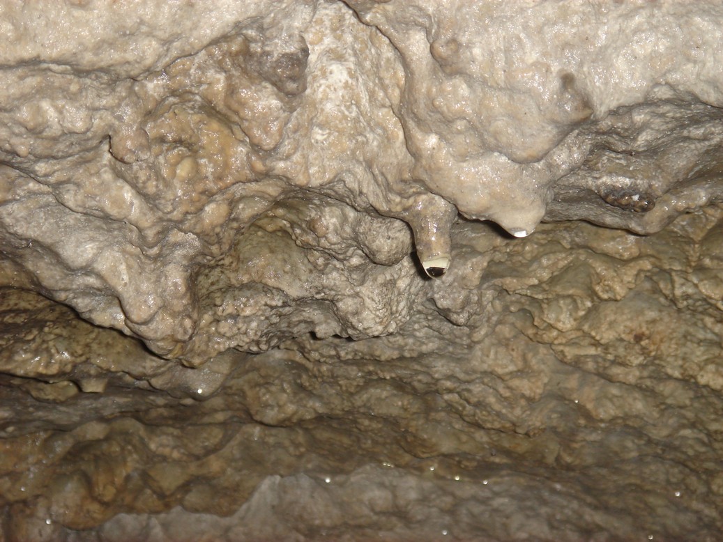 DSC03374.JPG