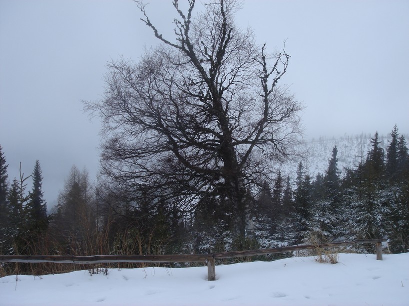 Tatry (26).JPG