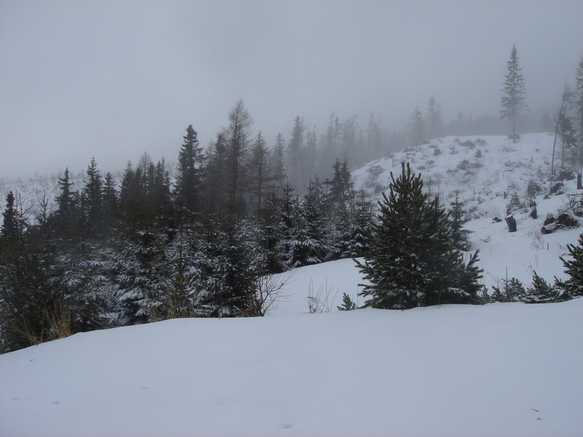 Tatry (27).JPG